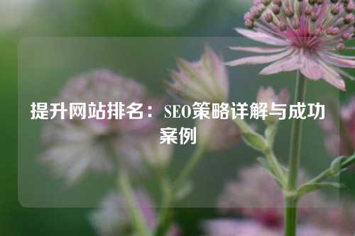 提升网站排名：SEO策略详解与成功案例