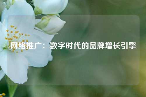 网络推广：数字时代的品牌增长引擎