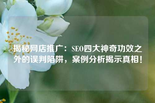 揭秘网店推广：SEO四大神奇功效之外的误判陷阱，案例分析揭示真相！