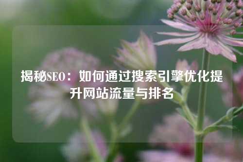 揭秘SEO：如何通过搜索引擎优化提升网站流量与排名