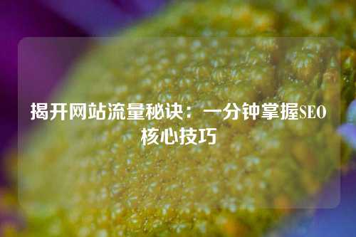 揭开网站流量秘诀：一分钟掌握SEO核心技巧