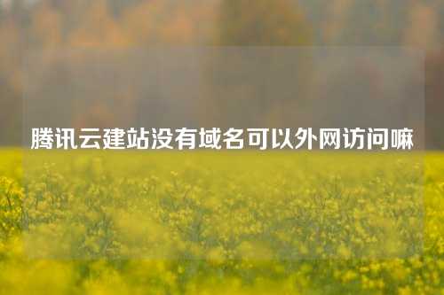 腾讯云建站没有域名可以外网访问嘛