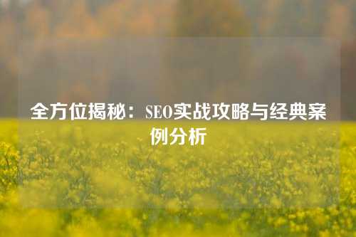 全方位揭秘：SEO实战攻略与经典案例分析