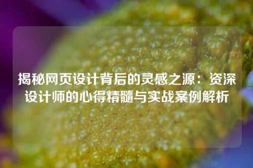 揭秘网页设计背后的灵感之源：资深设计师的心得精髓与实战案例解析