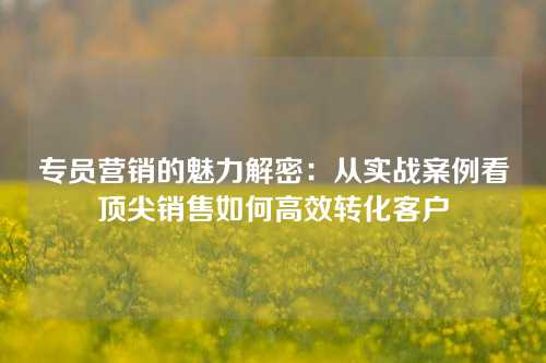 专员营销的魅力解密：从实战案例看顶尖销售如何高效转化客户