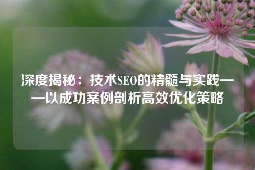 深度揭秘：技术SEO的精髓与实践——以成功案例剖析高效优化策略