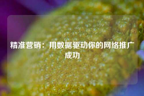 精准营销：用数据驱动你的网络推广成功