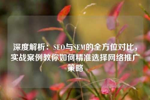 深度解析：SEO与SEM的全方位对比，实战案例教你如何精准选择网络推广策略