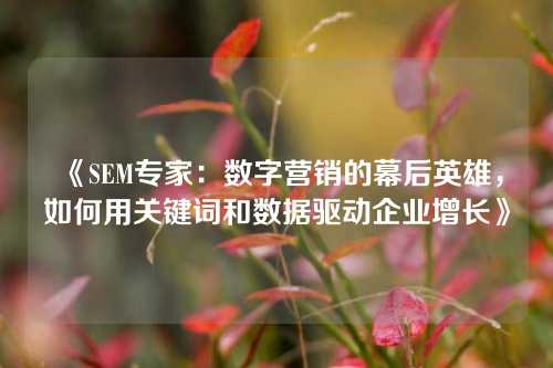 《SEM专家：数字营销的幕后英雄，如何用关键词和数据驱动企业增长》