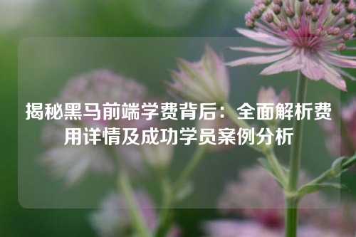 揭秘黑马前端学费背后：全面解析费用详情及成功学员案例分析