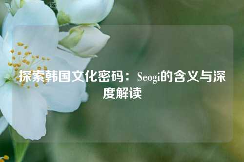 探索韩国文化密码：Seogi的含义与深度解读