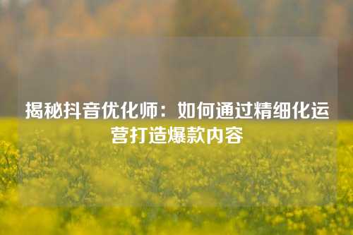 揭秘抖音优化师：如何通过精细化运营打造爆款内容