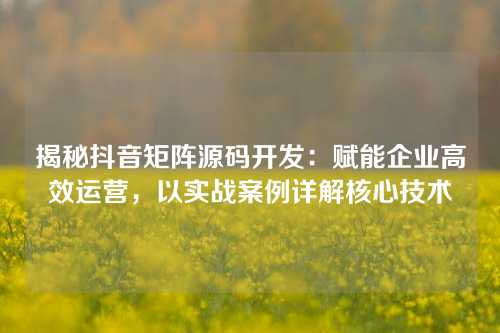 揭秘抖音矩阵源码开发：赋能企业高效运营，以实战案例详解核心技术