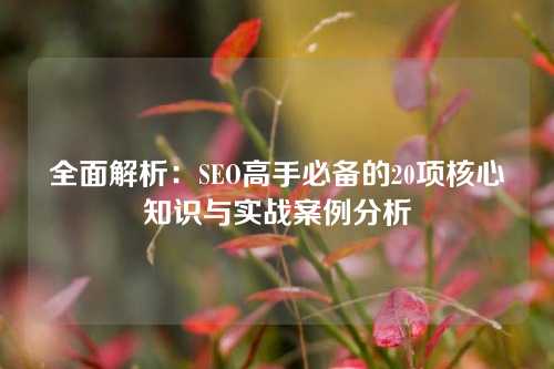 全面解析：SEO高手必备的20项核心知识与实战案例分析