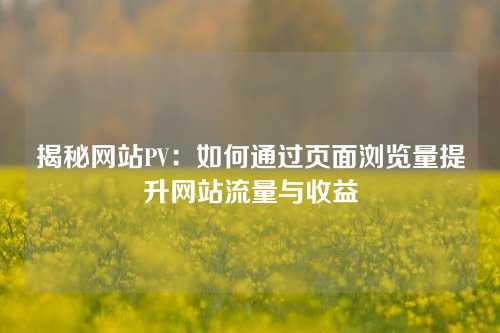 揭秘网站PV：如何通过页面浏览量提升网站流量与收益