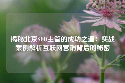 揭秘北京SEO主管的成功之道：实战案例解析互联网营销背后的秘密