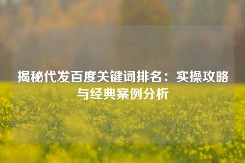 揭秘代发百度关键词排名：实操攻略与经典案例分析