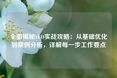 全面揭秘SEO实战攻略：从基础优化到案例分析，详解每一步工作要点