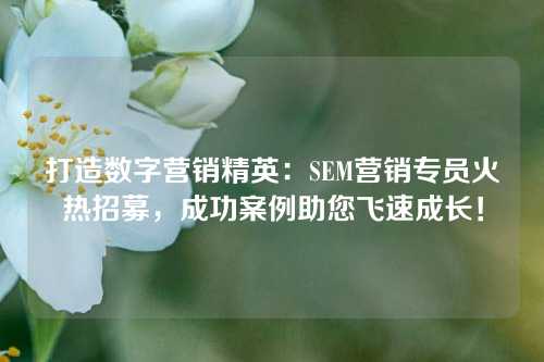 打造数字营销精英：SEM营销专员火热招募，成功案例助您飞速成长！