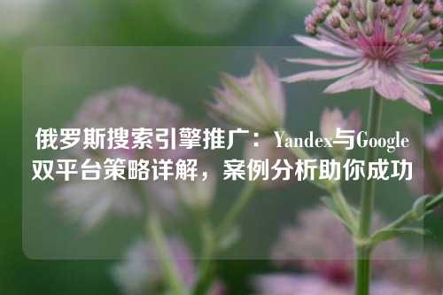 俄罗斯搜索引擎推广：Yandex与Google双平台策略详解，案例分析助你成功