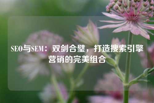 SEO与SEM：双剑合璧，打造搜索引擎营销的完美组合