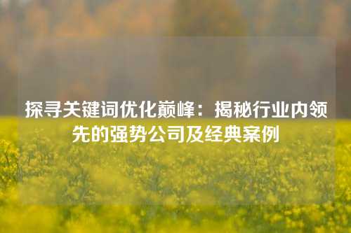 探寻关键词优化巅峰：揭秘行业内领先的强势公司及经典案例