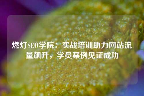 燃灯SEO学院：实战培训助力网站流量飙升，学员案例见证成功