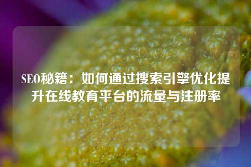 SEO秘籍：如何通过搜索引擎优化提升在线教育平台的流量与注册率