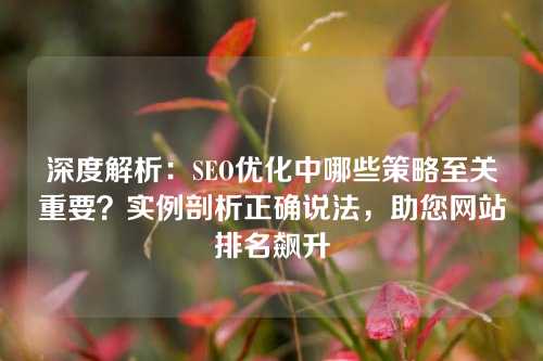 深度解析：SEO优化中哪些策略至关重要？实例剖析正确说法，助您网站排名飙升