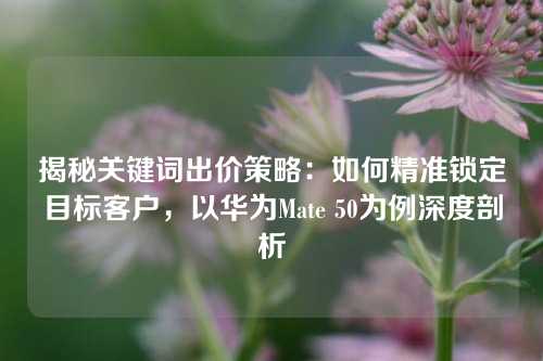 揭秘关键词出价策略：如何精准锁定目标客户，以华为Mate 50为例深度剖析