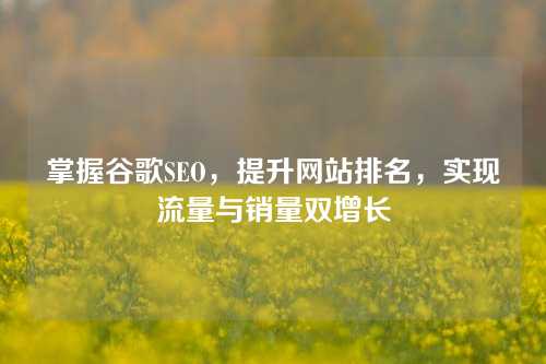 掌握谷歌SEO，提升网站排名，实现流量与销量双增长