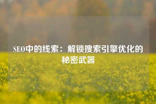 SEO中的线索：解锁搜索引擎优化的秘密武器