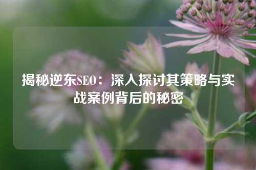 揭秘逆东SEO：深入探讨其策略与实战案例背后的秘密