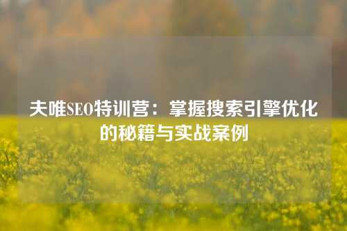 夫唯SEO特训营：掌握搜索引擎优化的秘籍与实战案例