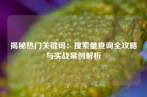 揭秘热门关键词：搜索量查询全攻略与实战案例解析