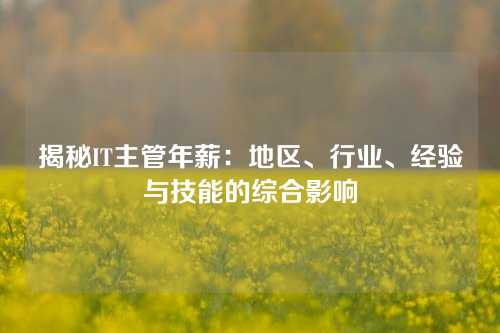 揭秘IT主管年薪：地区、行业、经验与技能的综合影响