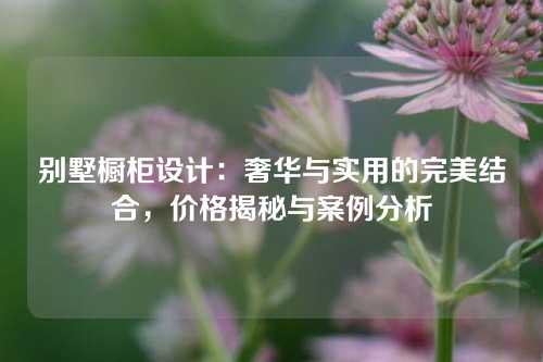 别墅橱柜设计：奢华与实用的完美结合，价格揭秘与案例分析