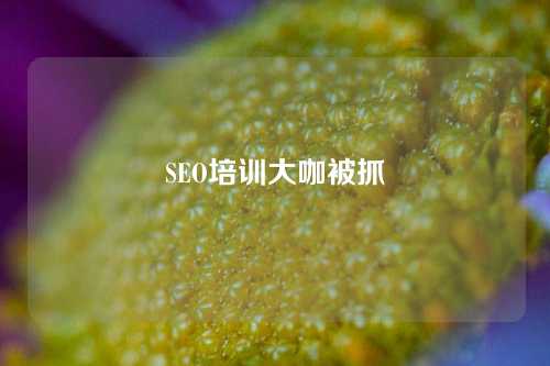 SEO培训大咖被抓