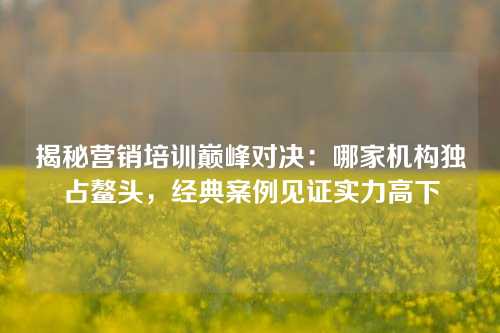 揭秘营销培训巅峰对决：哪家机构独占鳌头，经典案例见证实力高下