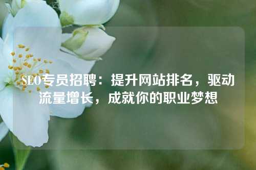 SEO专员招聘：提升网站排名，驱动流量增长，成就你的职业梦想