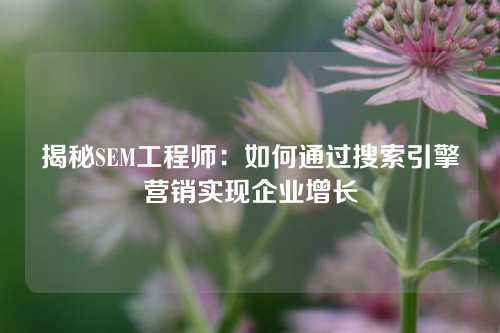 揭秘SEM工程师：如何通过搜索引擎营销实现企业增长