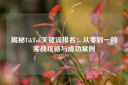 揭秘TikTok关键词排名：从零到一的实战攻略与成功案例