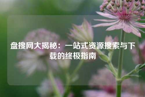 盘搜网大揭秘：一站式资源搜索与下载的终极指南