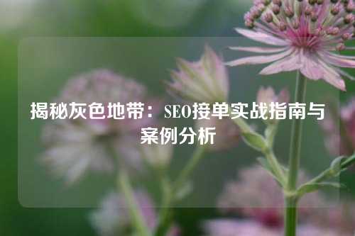 揭秘灰色地带：SEO接单实战指南与案例分析