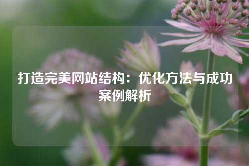 打造完美网站结构：优化方法与成功案例解析