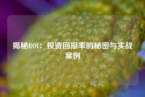 揭秘ROI：投资回报率的秘密与实战案例