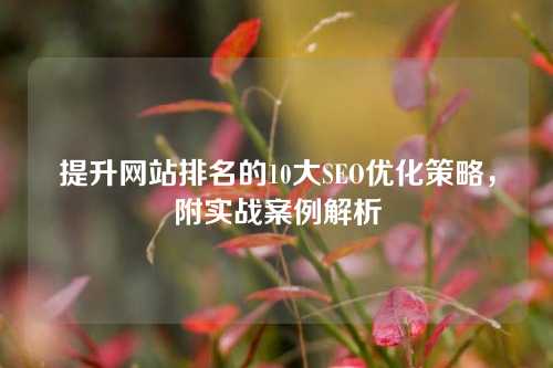 提升网站排名的10大SEO优化策略，附实战案例解析