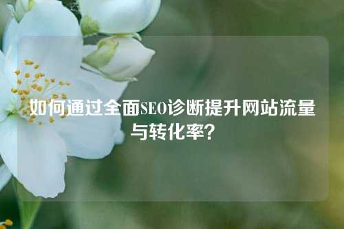 如何通过全面SEO诊断提升网站流量与转化率？