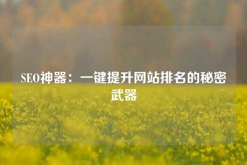 SEO神器：一键提升网站排名的秘密武器