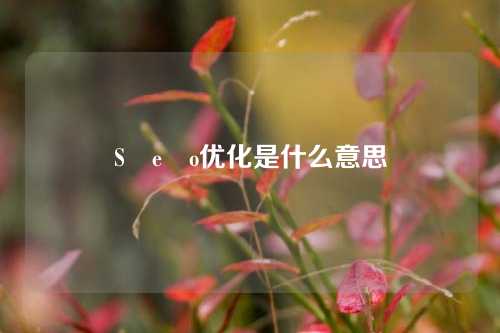 S e o优化是什么意思